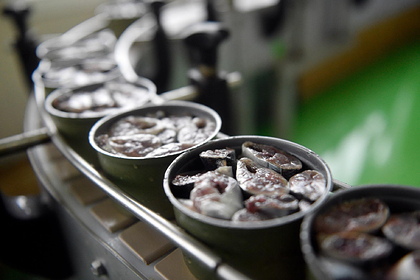 Россиян научили выбирать рыбные консервы